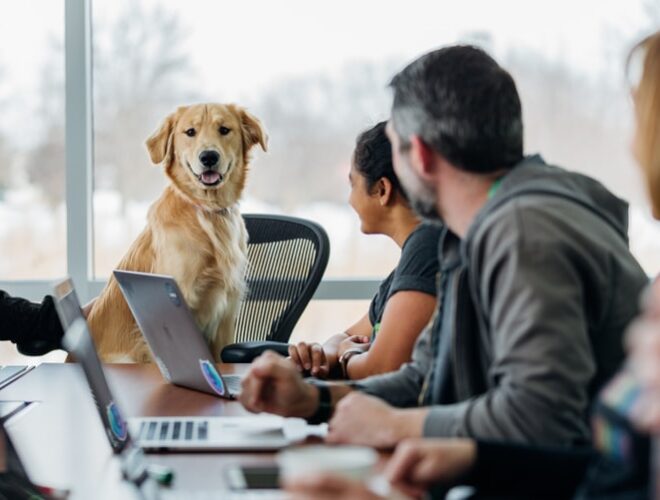professional resume service